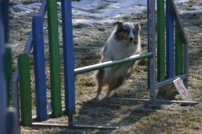 of Wind River - Caïna passe en 3ème degré d'agility!