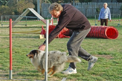 of Wind River - Concours de Saint-Saturnin: 2ème partie de brevet pour Boomer et Dick